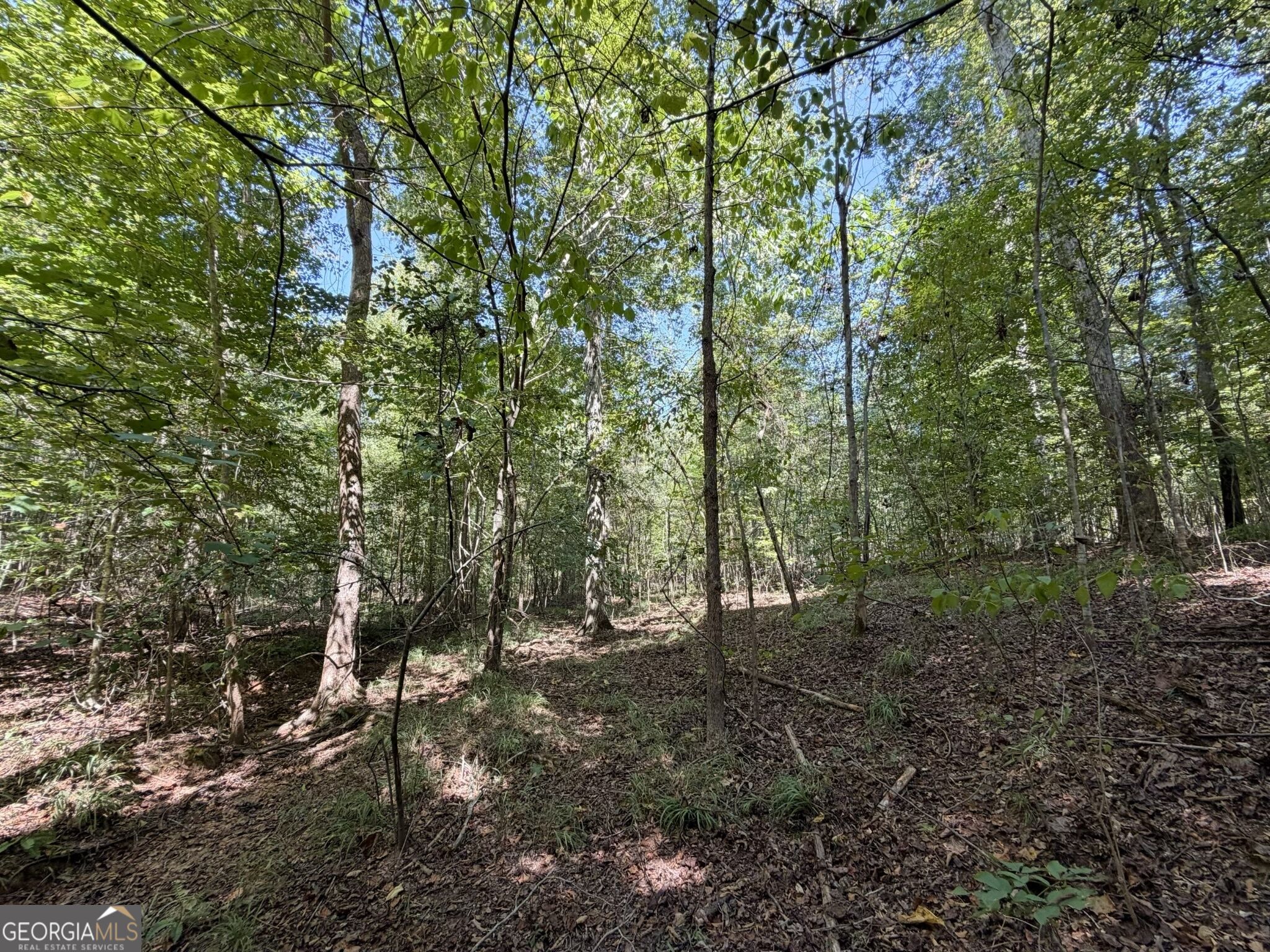 11 Bunch Road Tignall GA 30668