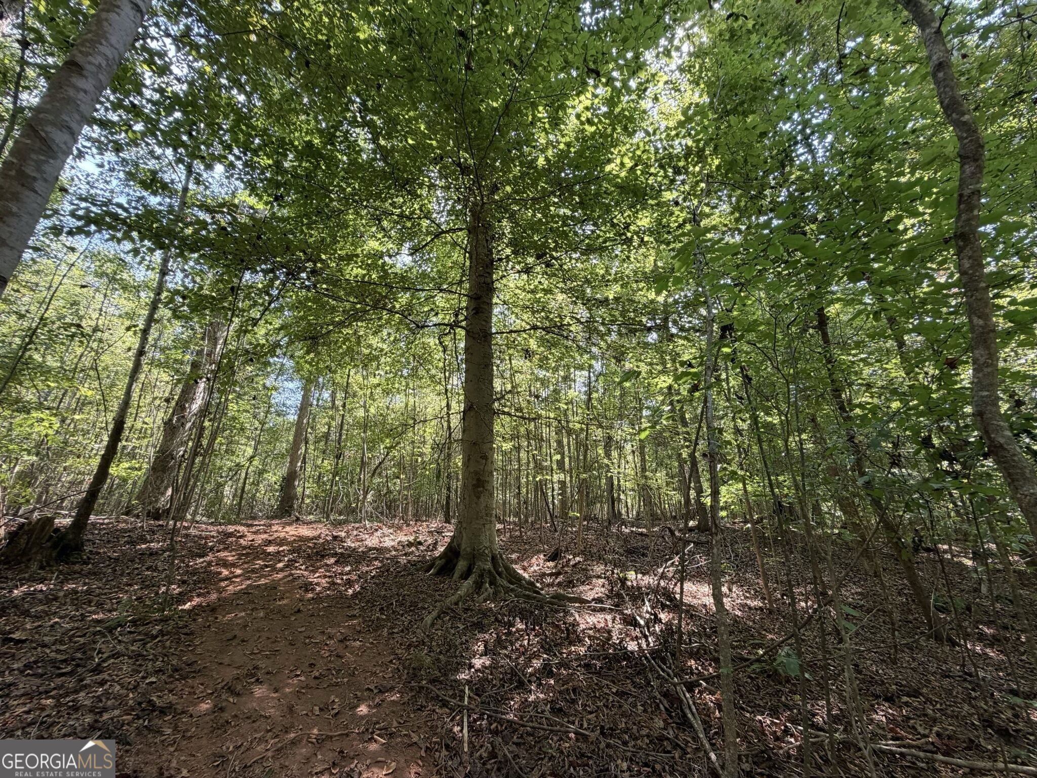 11 Bunch Road Tignall GA 30668