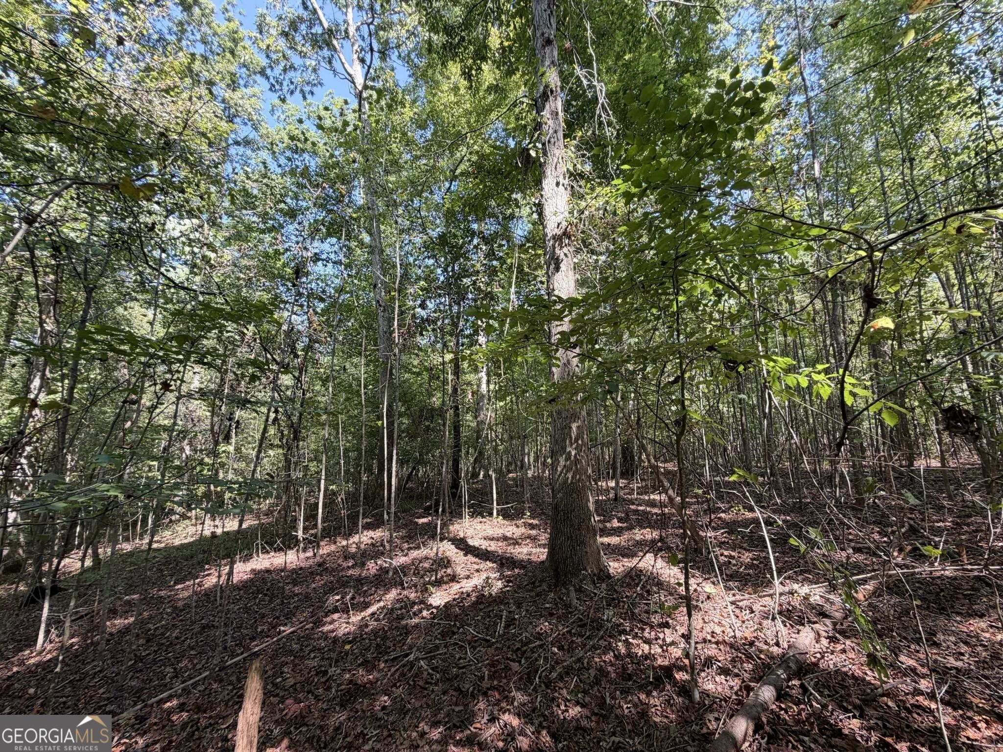 11 Bunch Road Tignall GA 30668