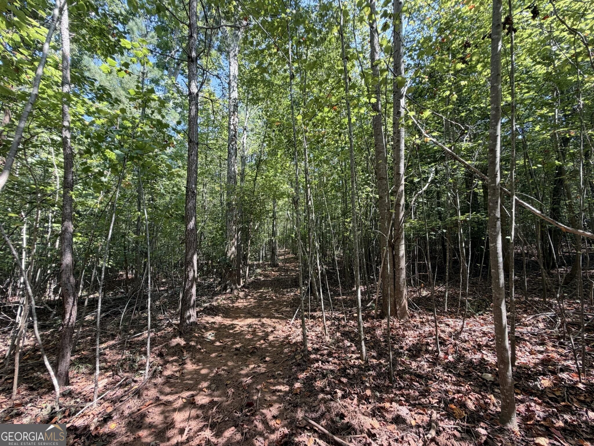11 Bunch Road Tignall GA 30668
