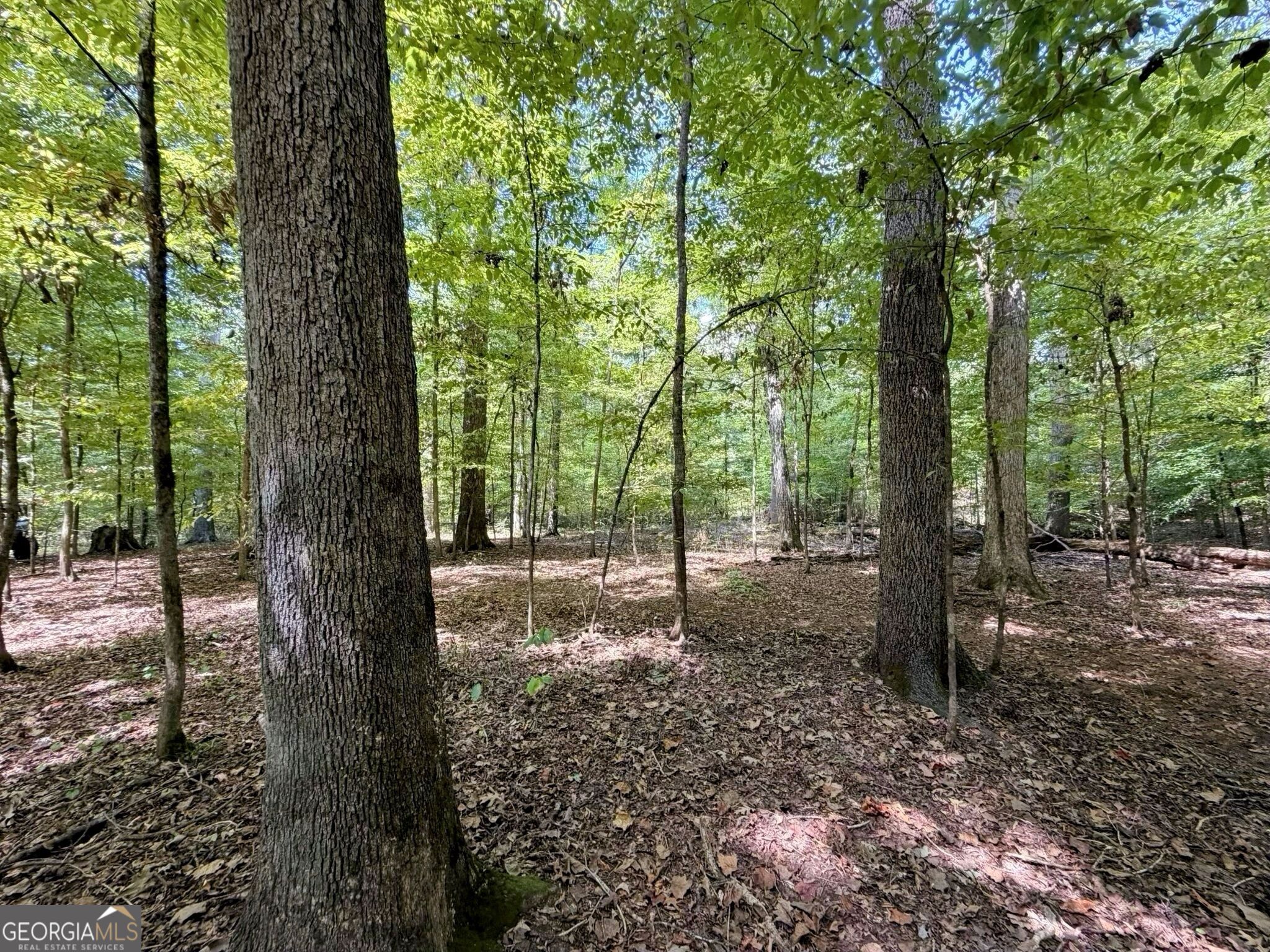 11 Bunch Road Tignall GA 30668