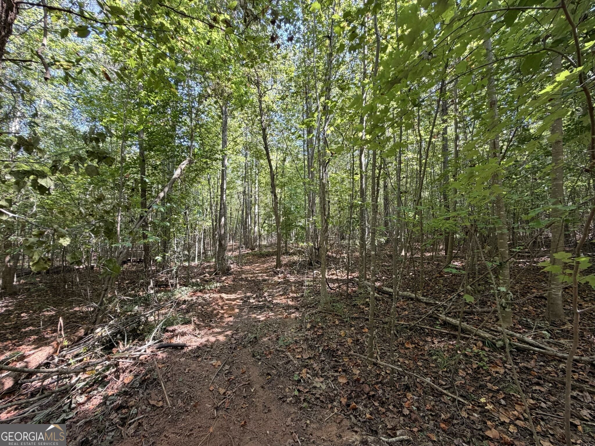 11 Bunch Road Tignall GA 30668