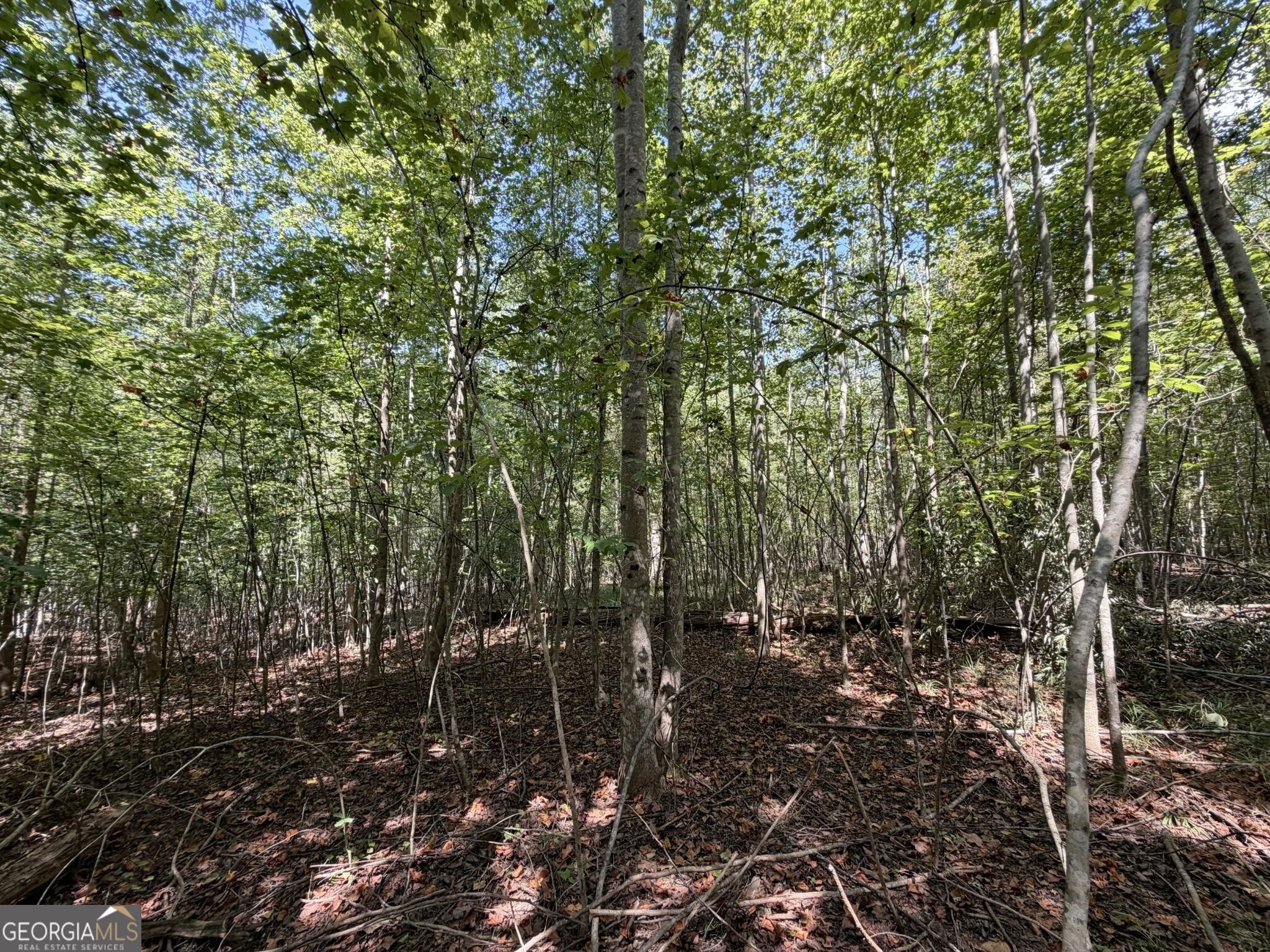 11 Bunch Road Tignall GA 30668