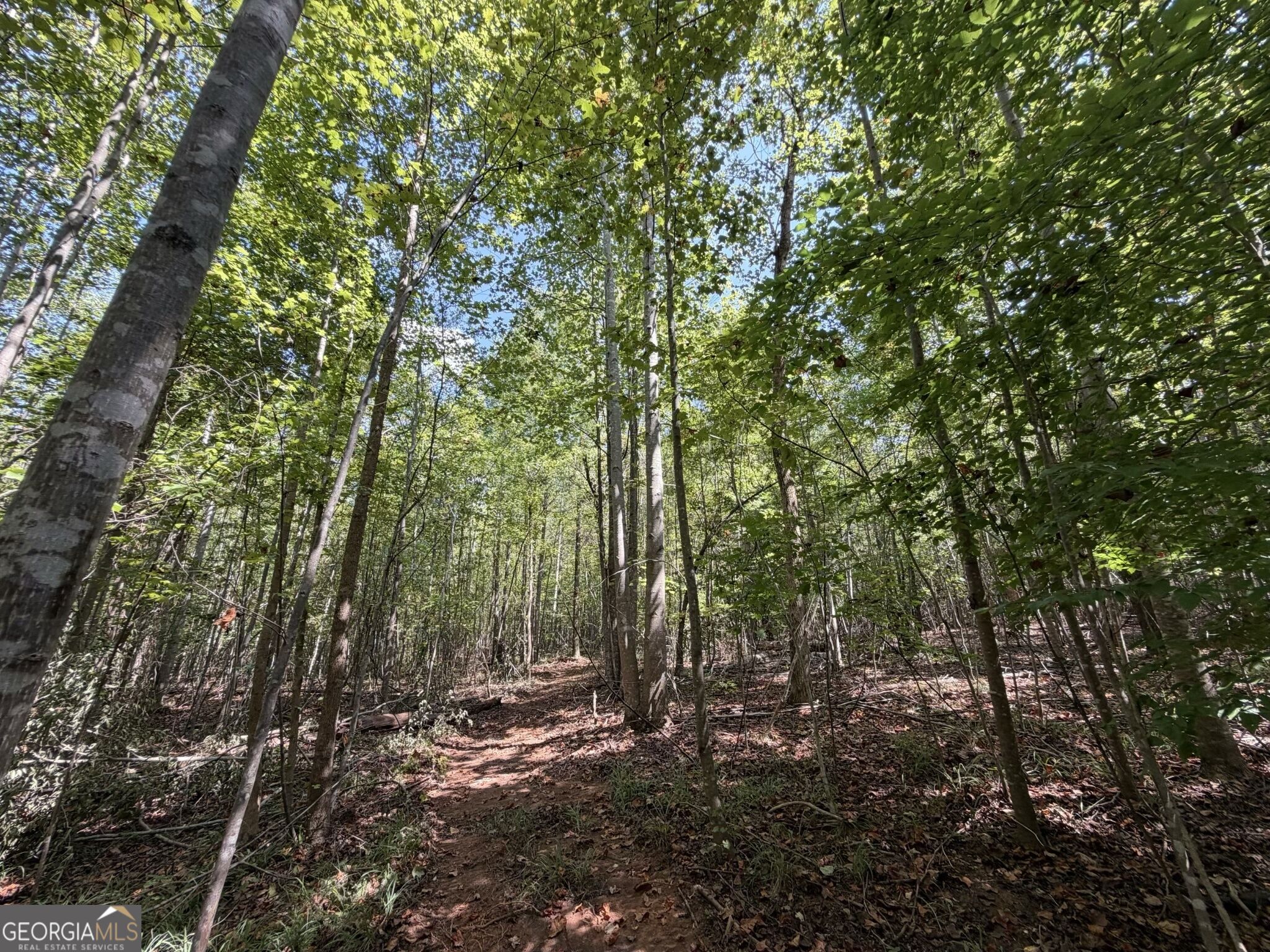 11 Bunch Road Tignall GA 30668