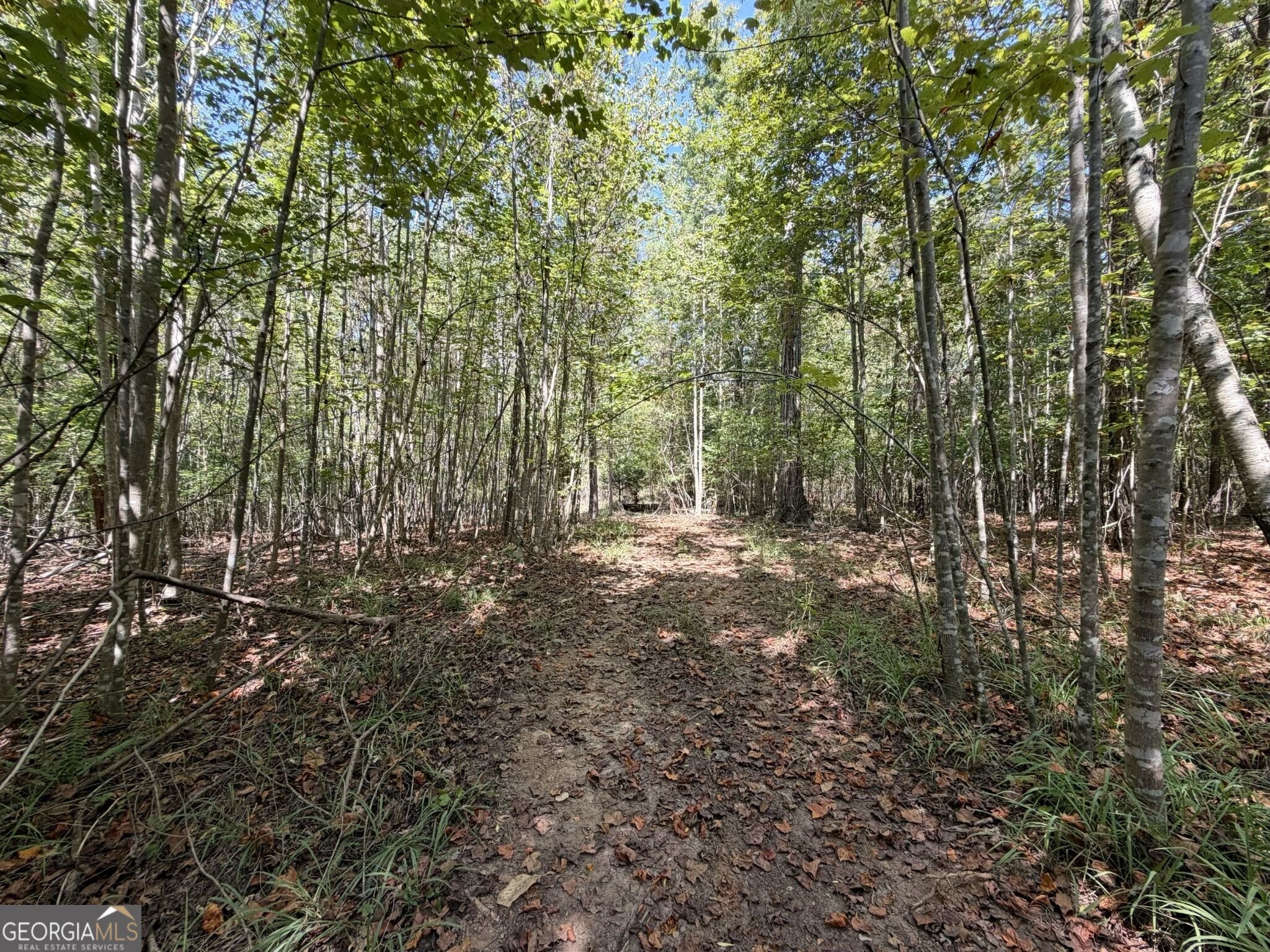 11 Bunch Road Tignall GA 30668