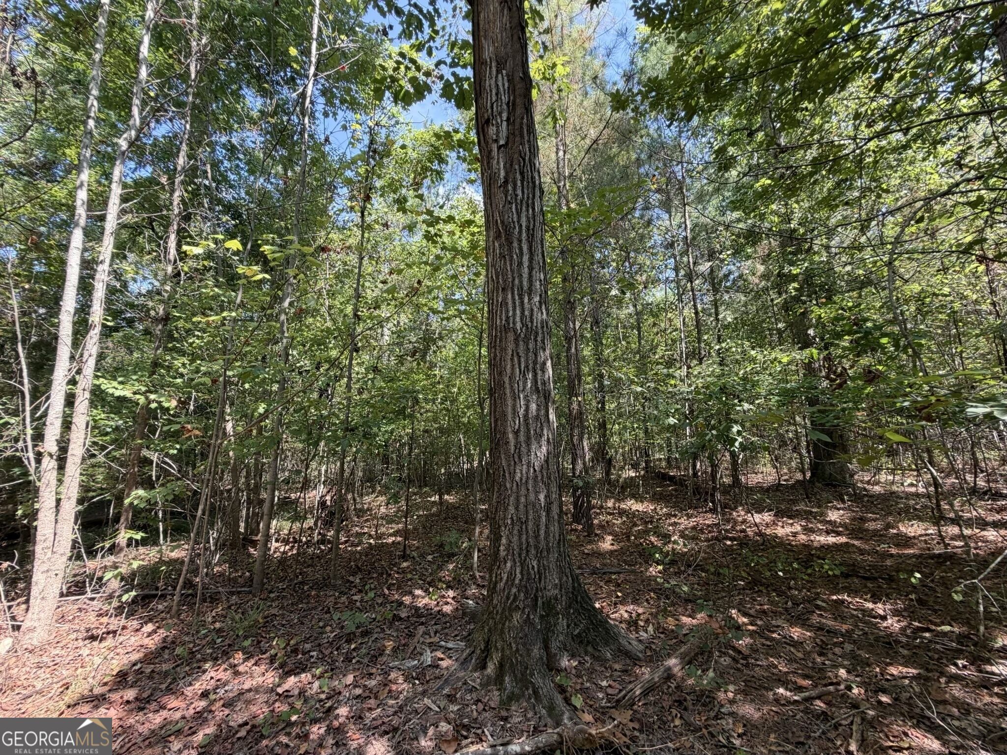 11 Bunch Road Tignall GA 30668