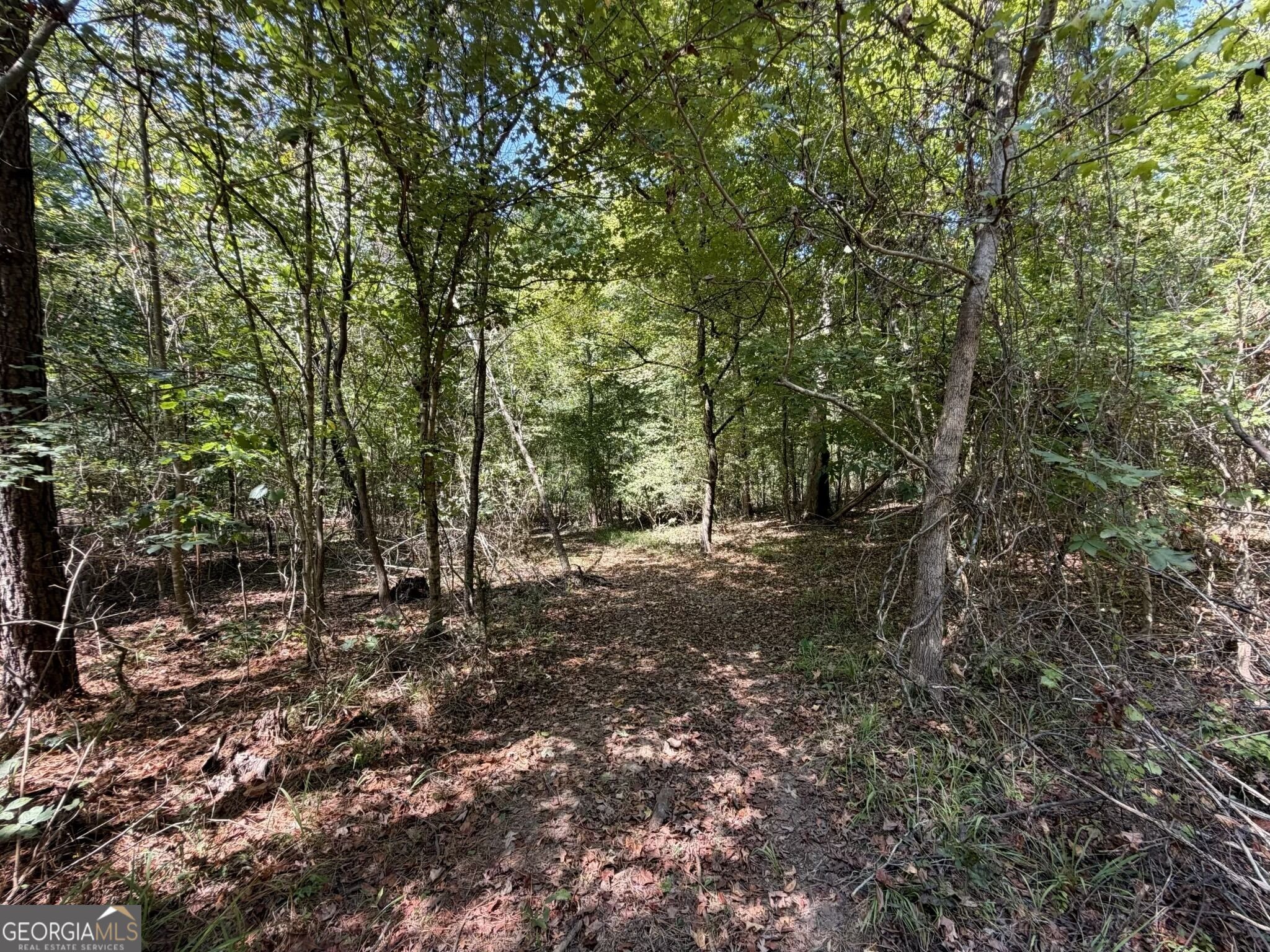 11 Bunch Road Tignall GA 30668
