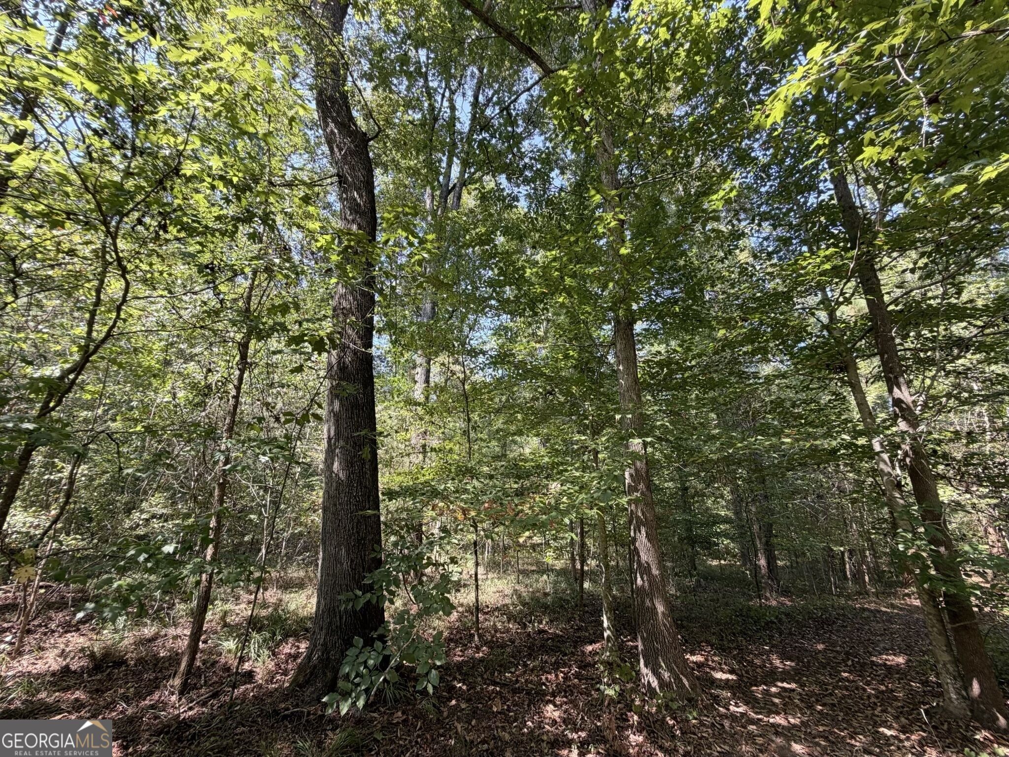 11 Bunch Road Tignall GA 30668