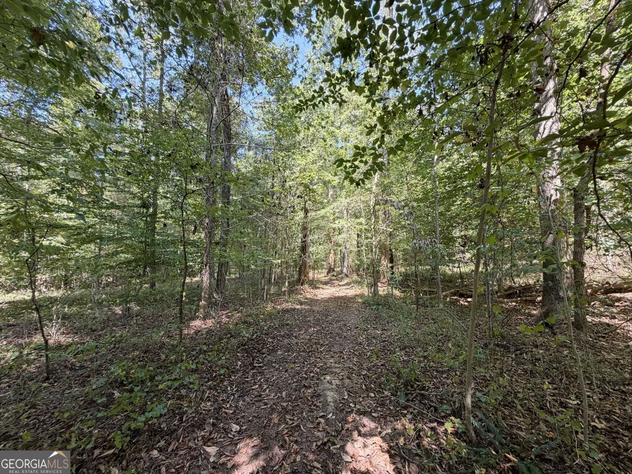 11 Bunch Road Tignall GA 30668