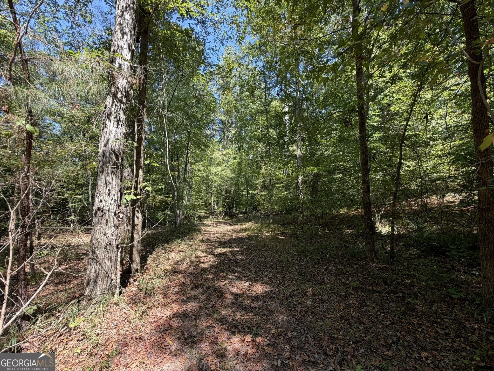 11 Bunch Road Tignall GA 30668