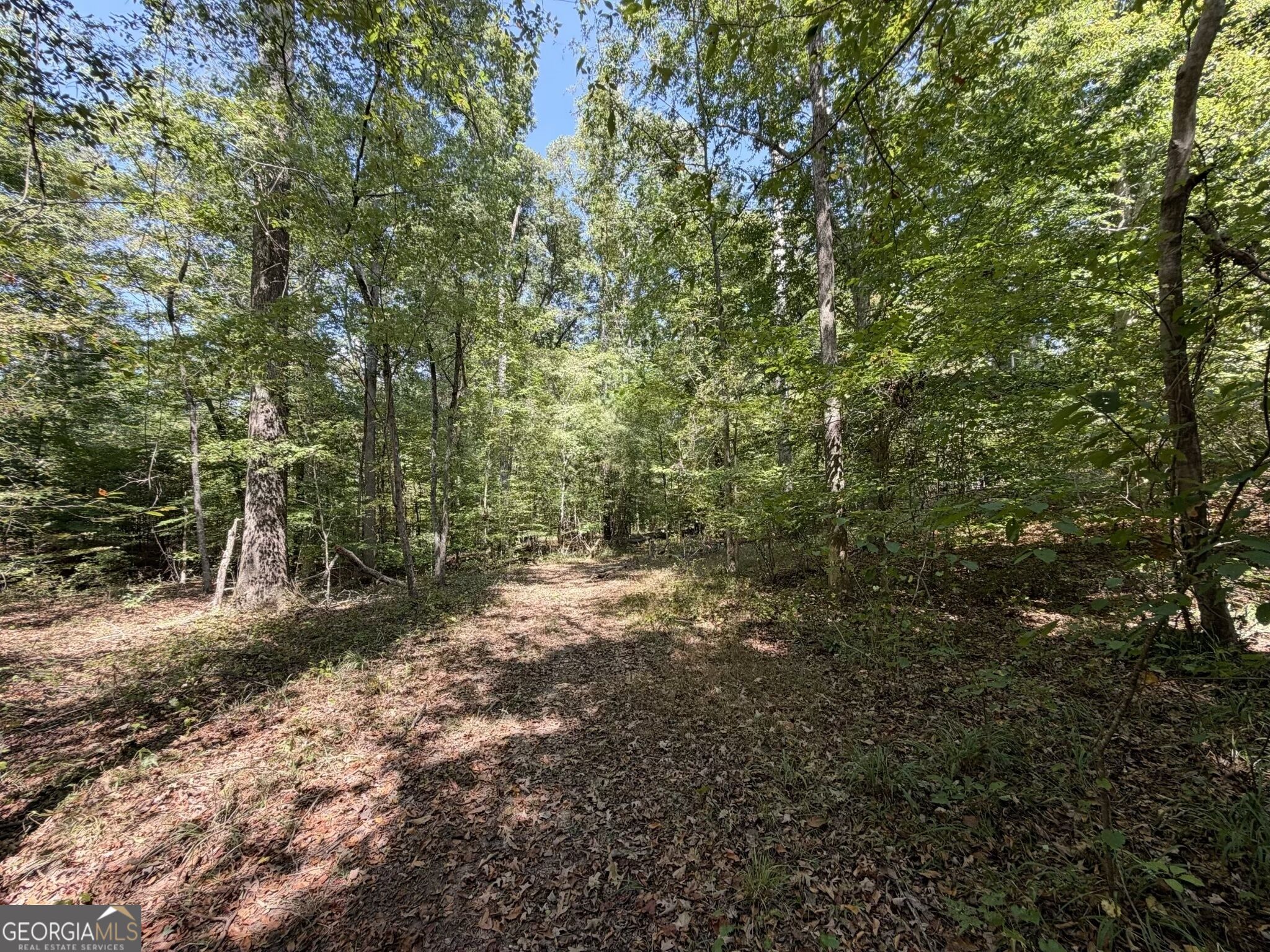 11 Bunch Road Tignall GA 30668