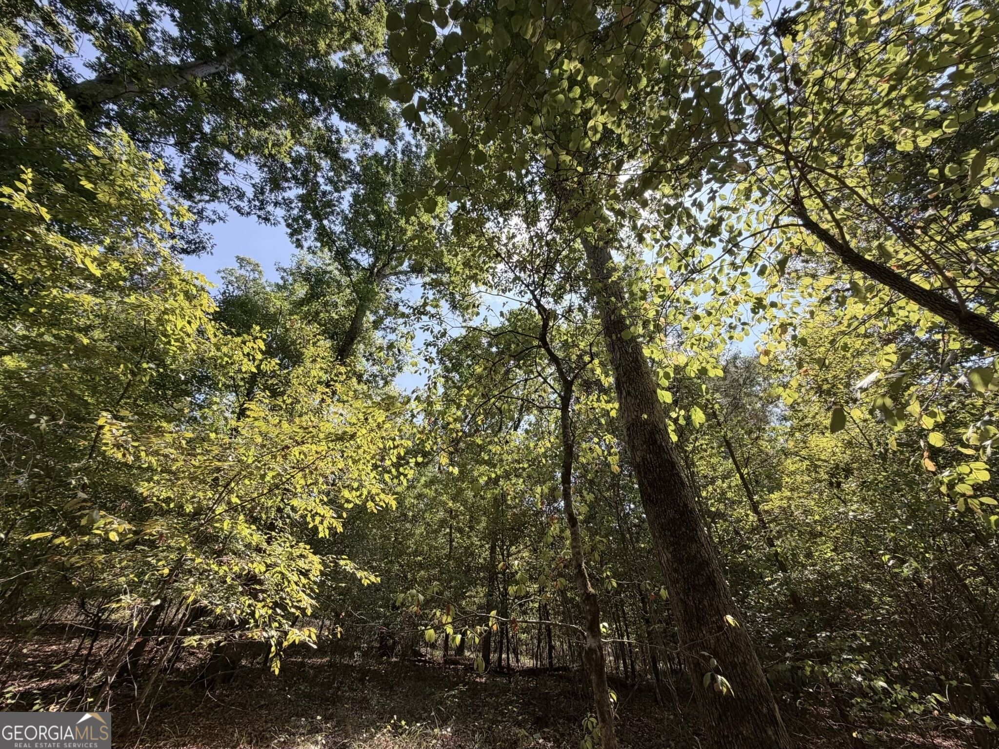 11 Bunch Road Tignall GA 30668