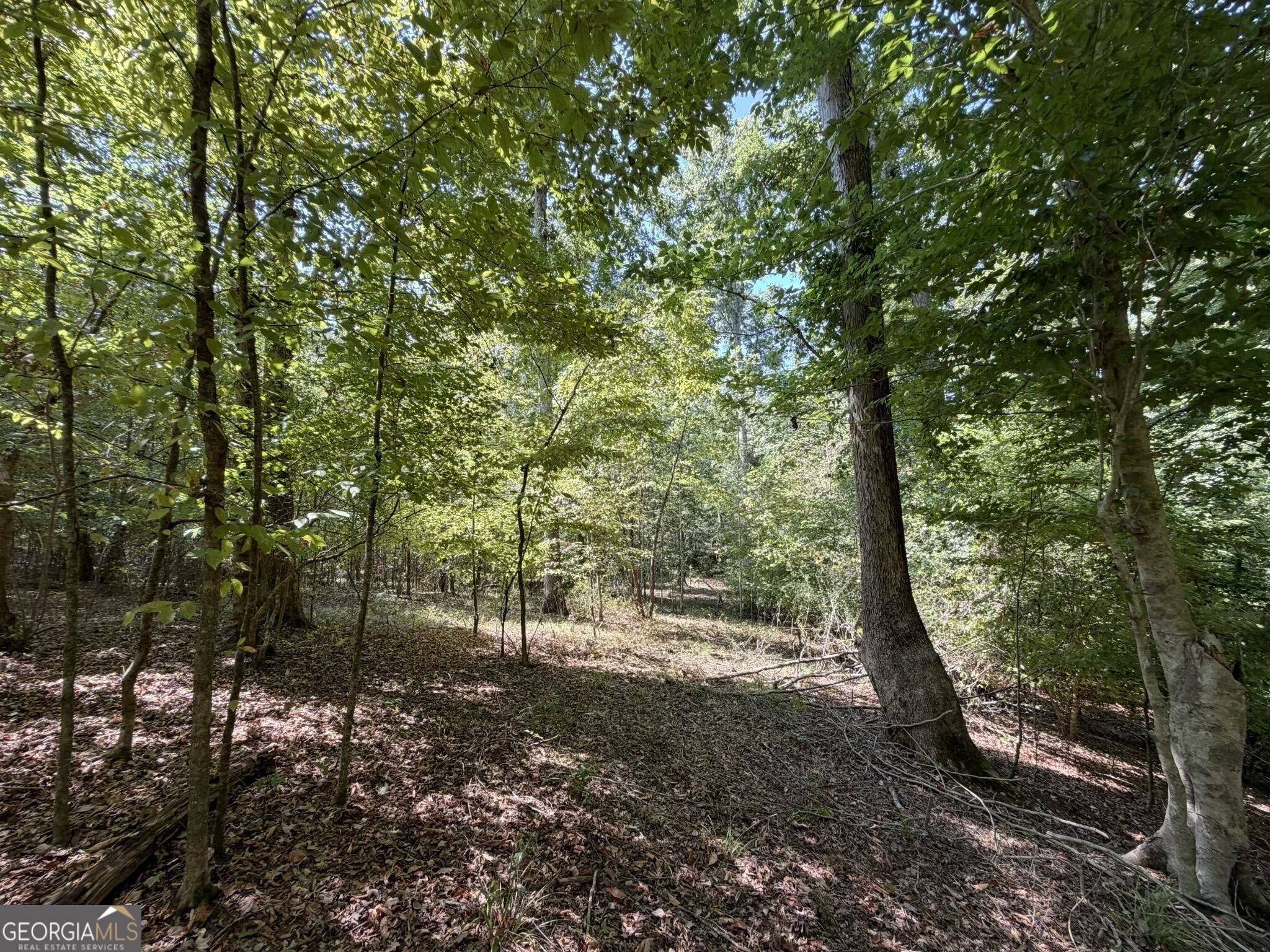 11 Bunch Road Tignall GA 30668