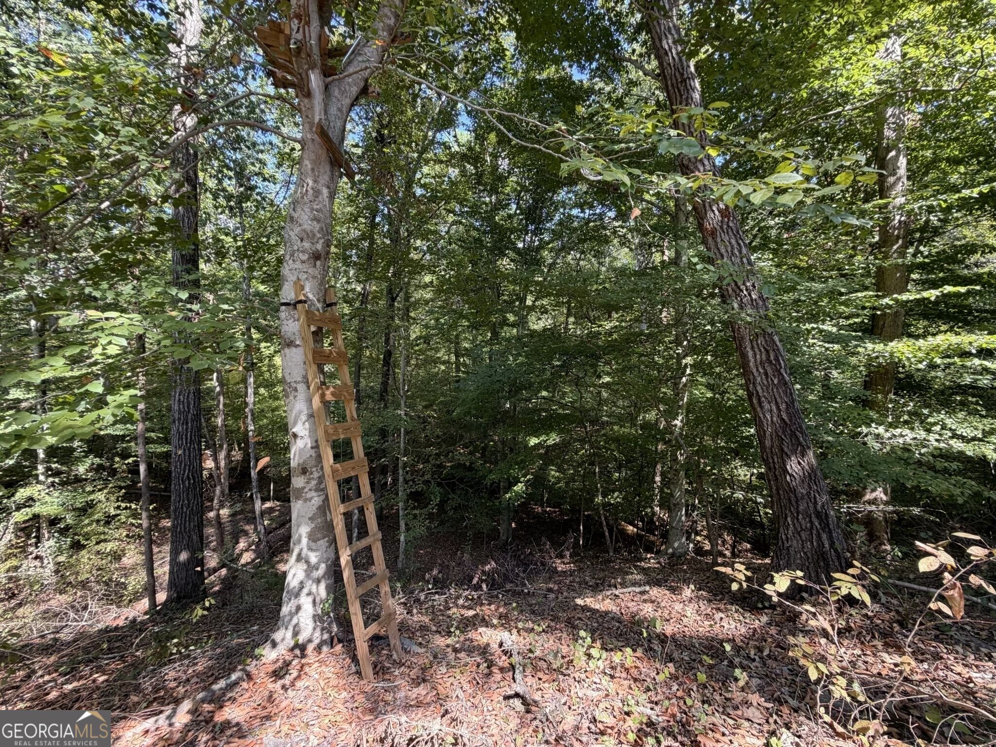 11 Bunch Road Tignall GA 30668