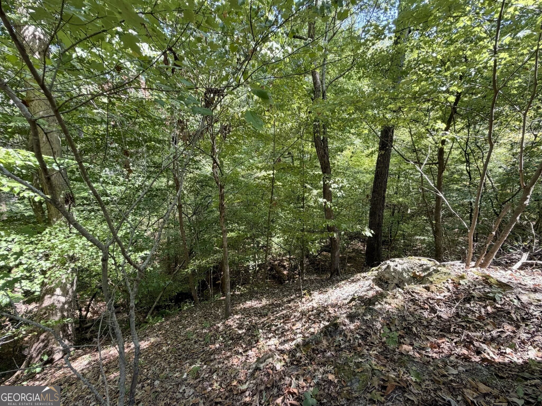 11 Bunch Road Tignall GA 30668