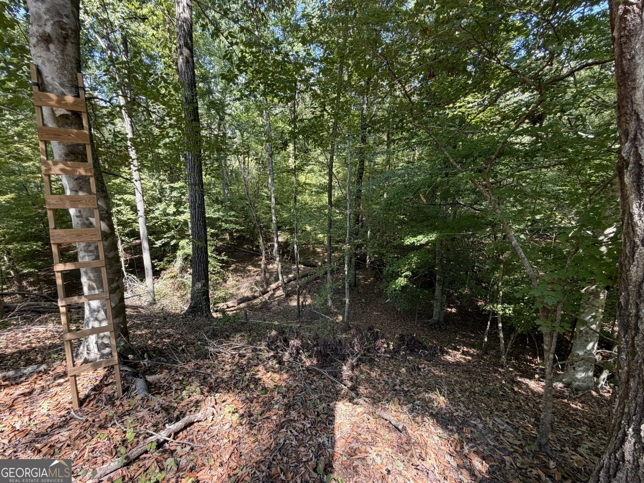11 Bunch Road Tignall GA 30668