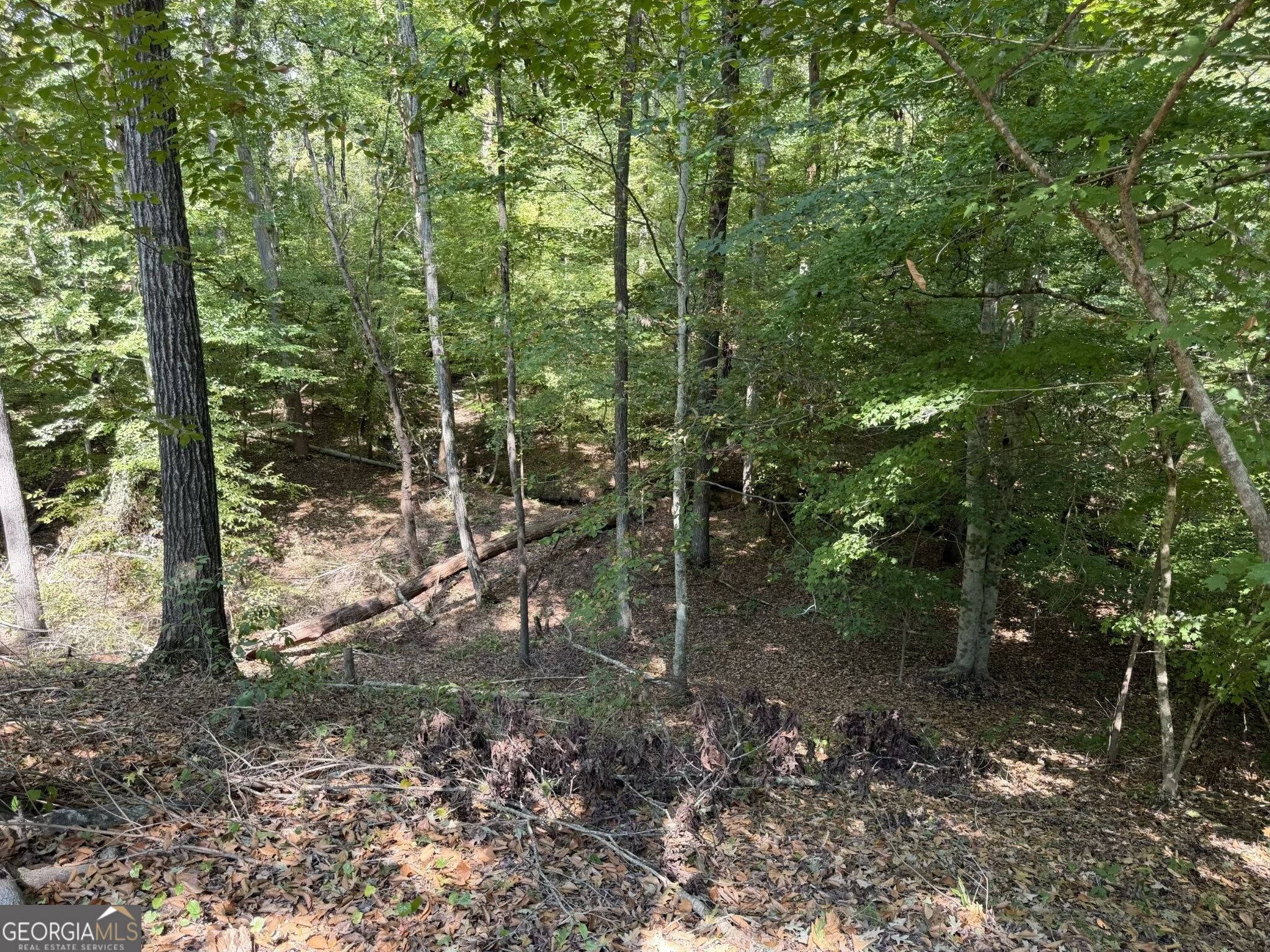 11 Bunch Road Tignall GA 30668