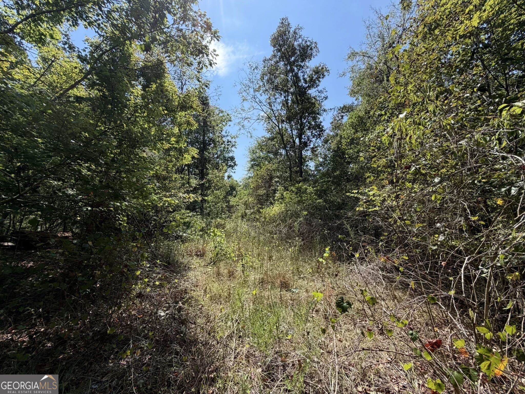 11 Bunch Road Tignall GA 30668