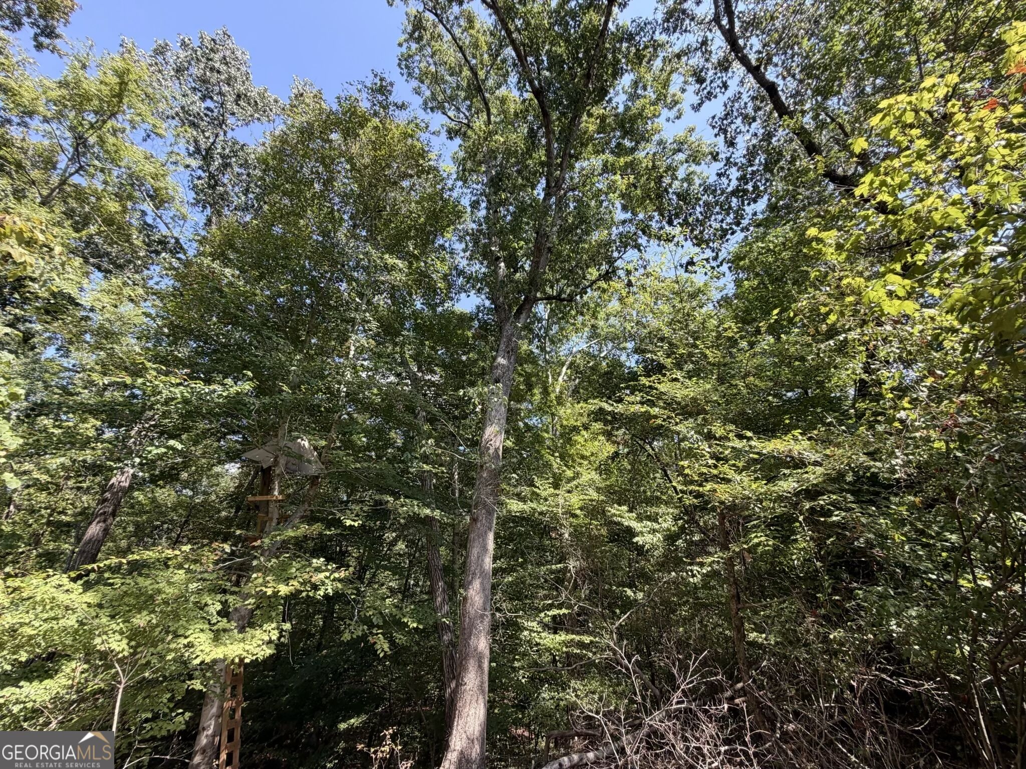 11 Bunch Road Tignall GA 30668