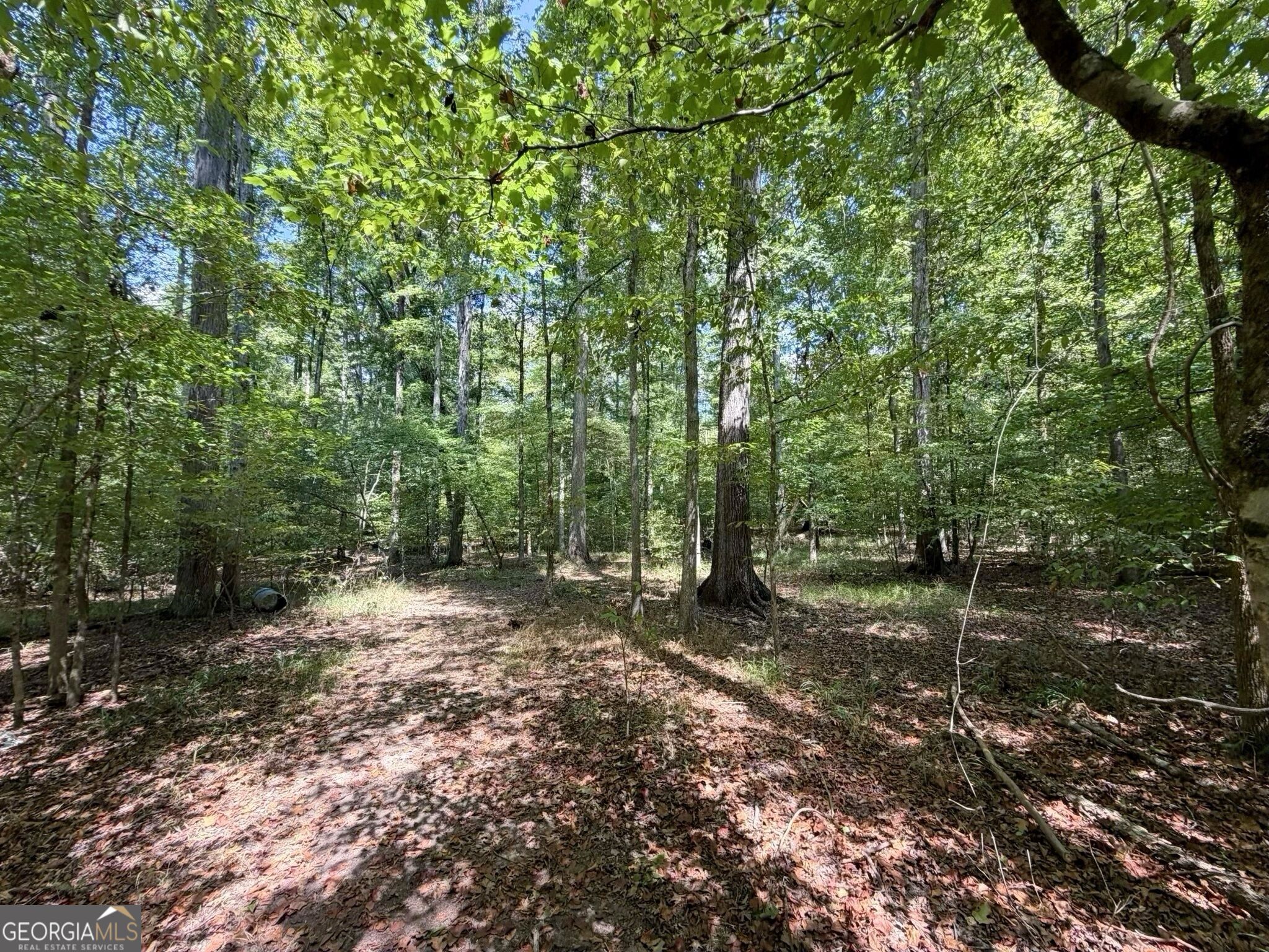 11 Bunch Road Tignall GA 30668
