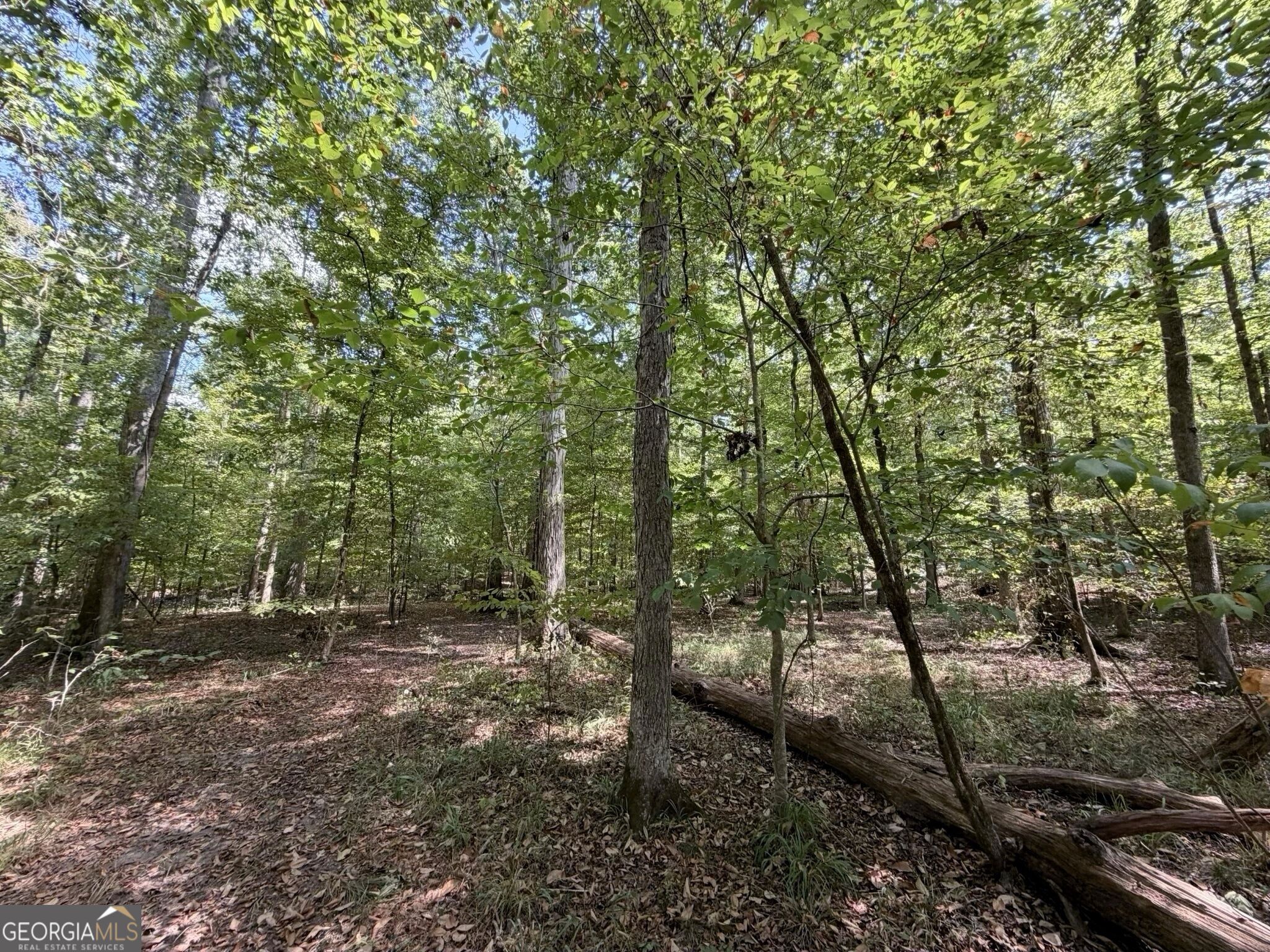 11 Bunch Road Tignall GA 30668