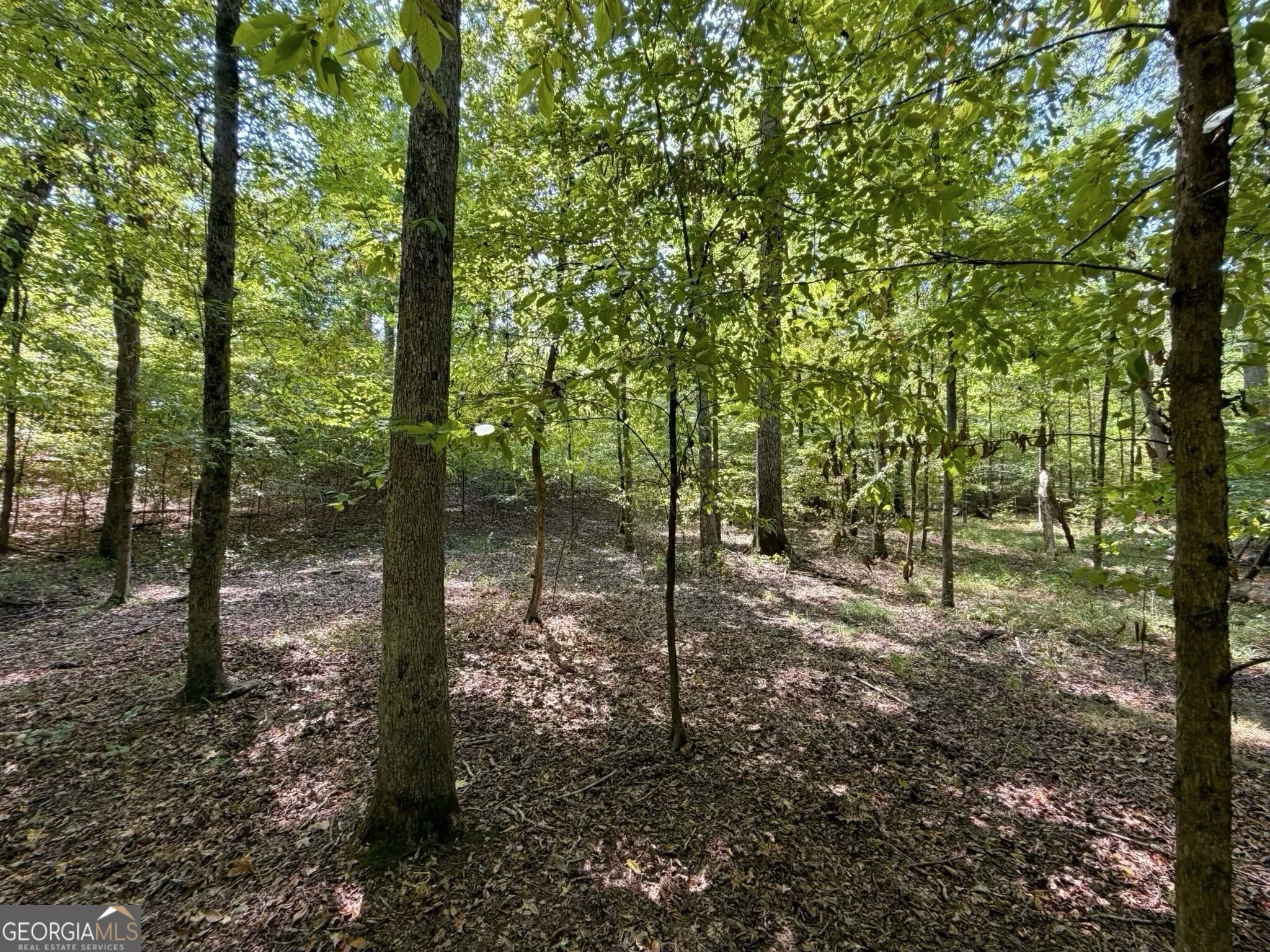11 Bunch Road Tignall GA 30668
