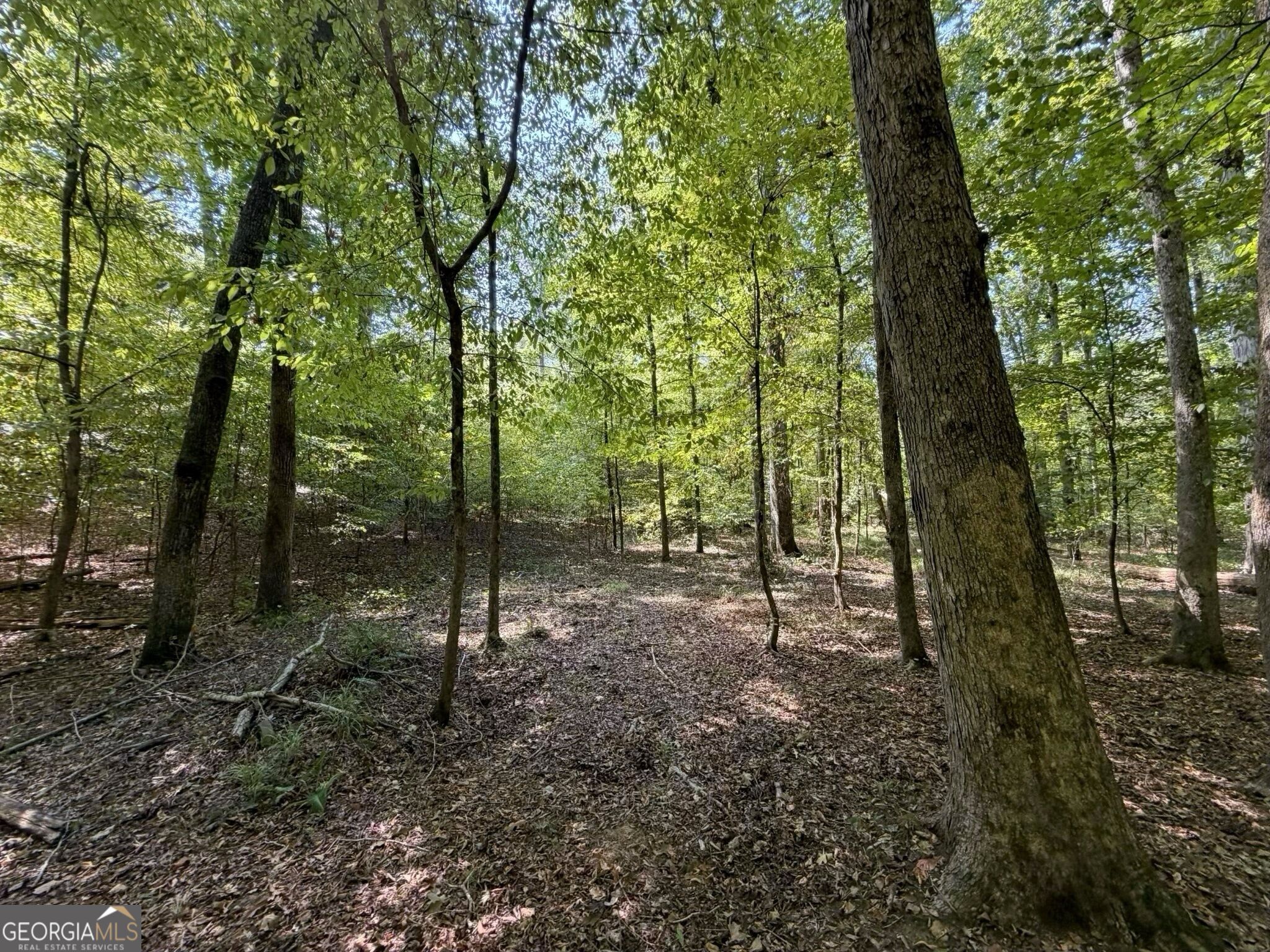 11 Bunch Road Tignall GA 30668