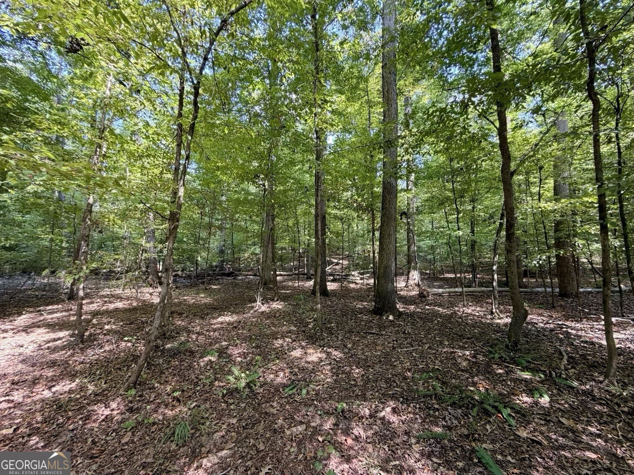 11 Bunch Road Tignall GA 30668
