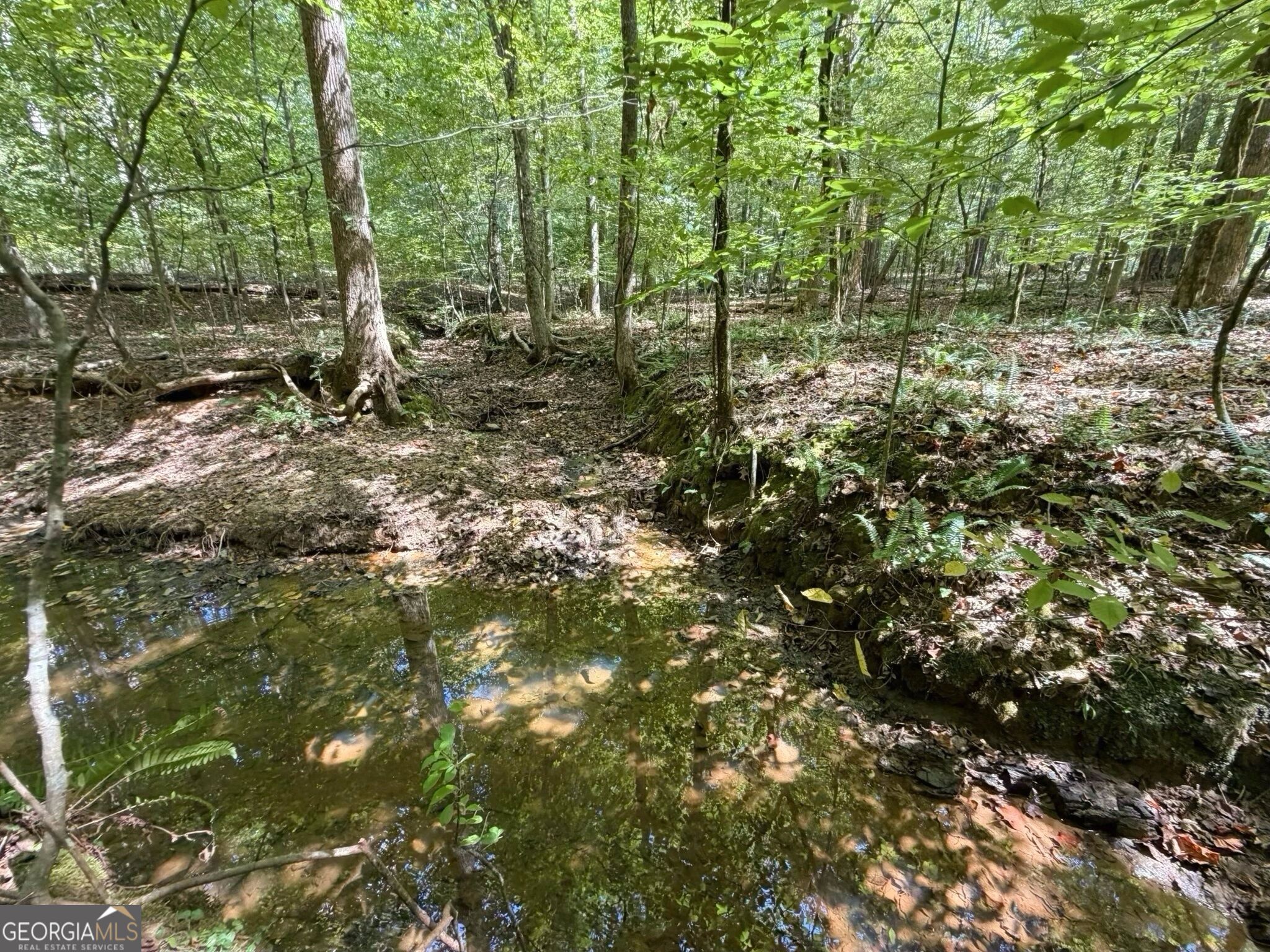 11 Bunch Road Tignall GA 30668