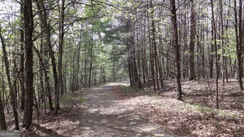 Lot 20 Horseshoe Bend Road Dahlonega GA 30533