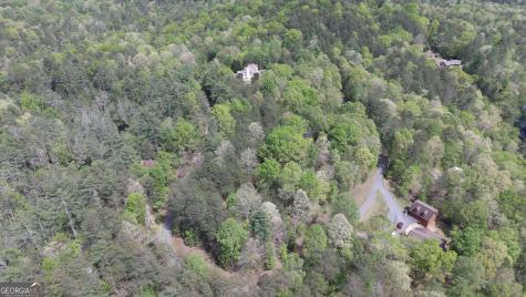 Lot 20 Horseshoe Bend Road Dahlonega GA 30533