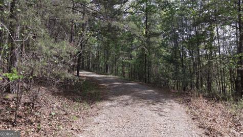 Lot 20 Horseshoe Bend Road Dahlonega GA 30533