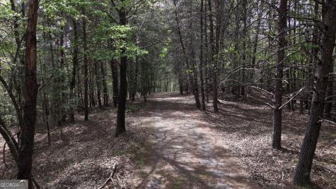Lot 20 Horseshoe Bend Road Dahlonega GA 30533
