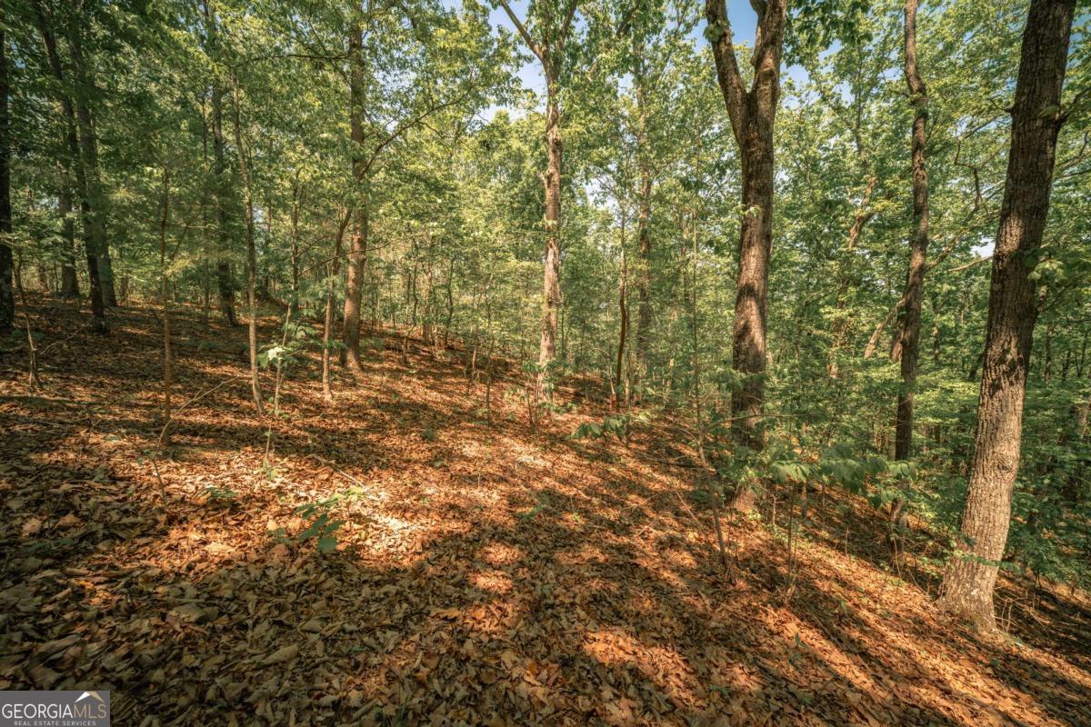 0 Hancock Mountain Trail Waleska GA 30183