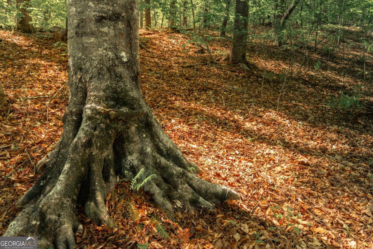0 Hancock Mountain Trail Waleska GA 30183