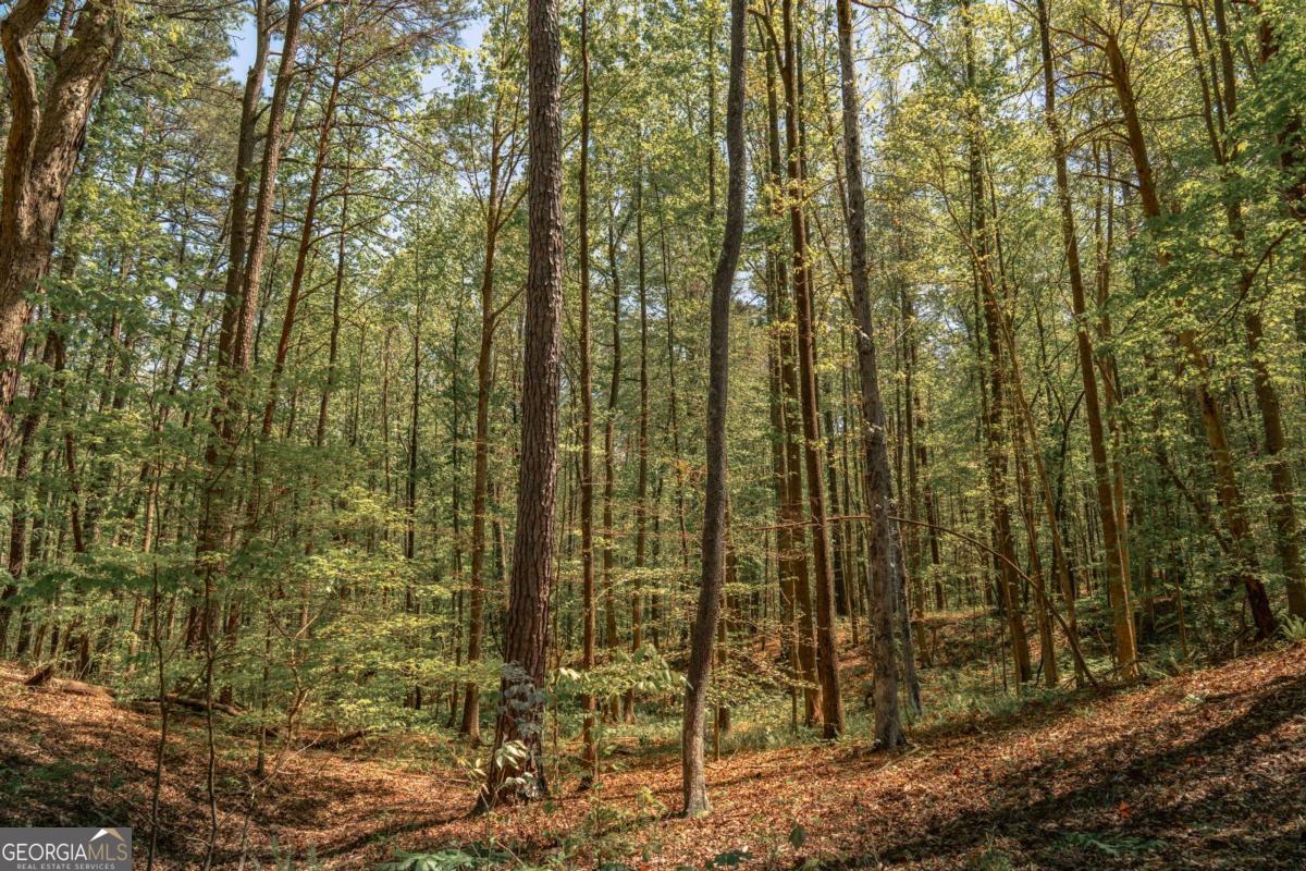 0 Hancock Mountain Trail Waleska GA 30183
