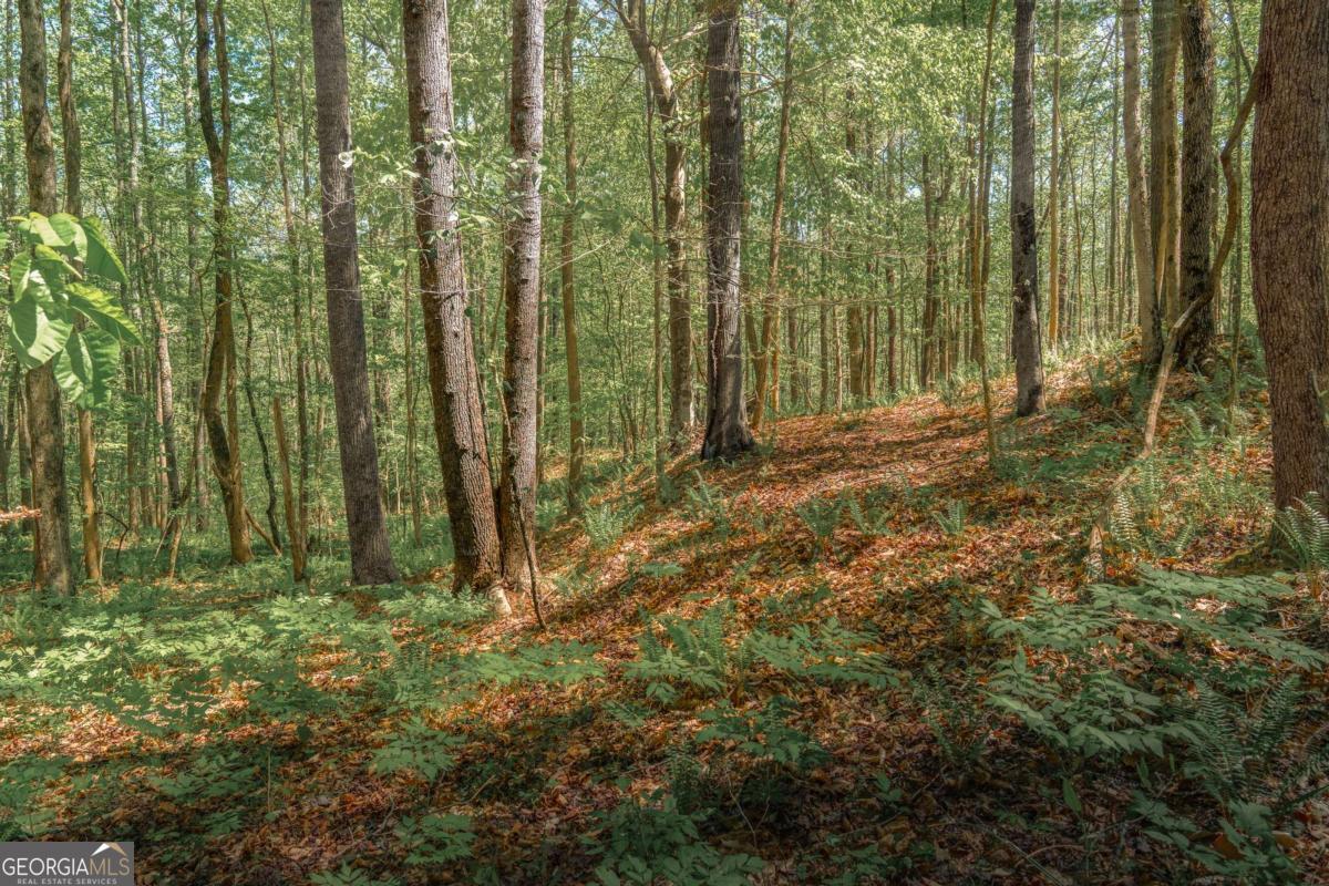 0 Hancock Mountain Trail Waleska GA 30183