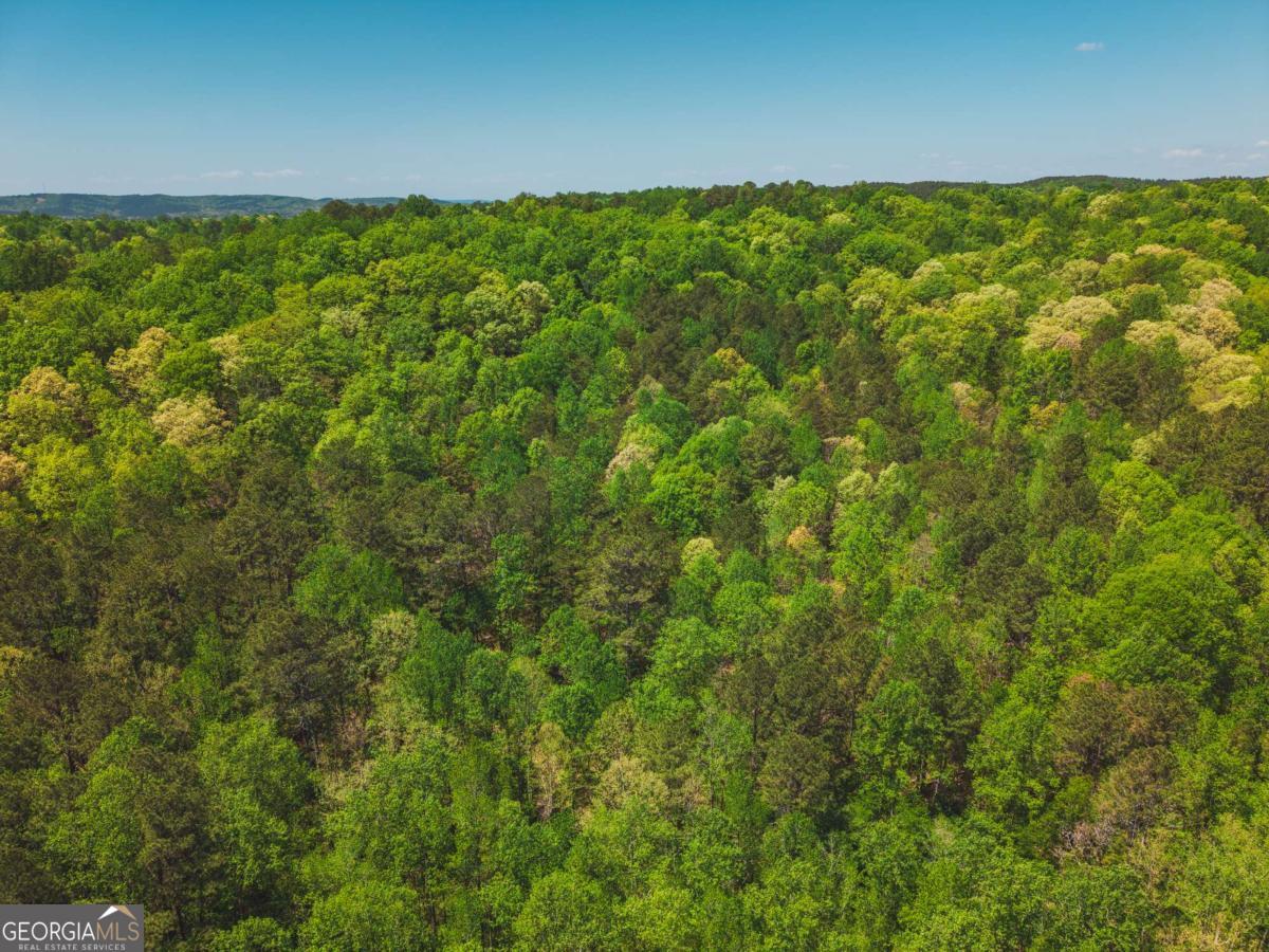 0 Hancock Mountain Trail Waleska GA 30183
