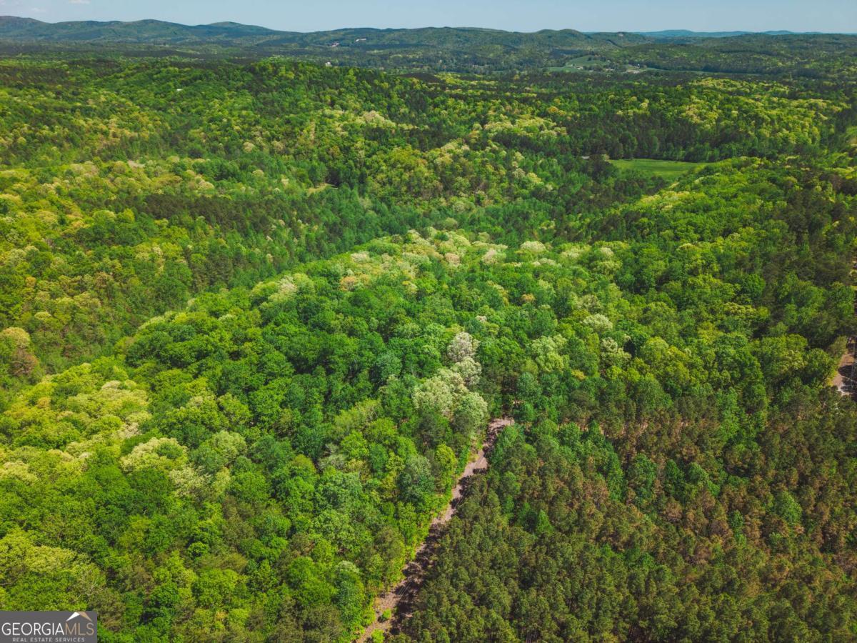0 Hancock Mountain Trail Waleska GA 30183