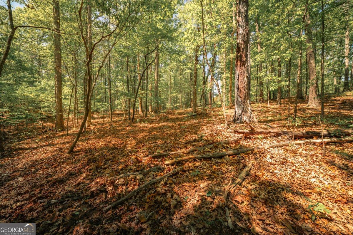 0 Hancock Mountain Trail Waleska GA 30183