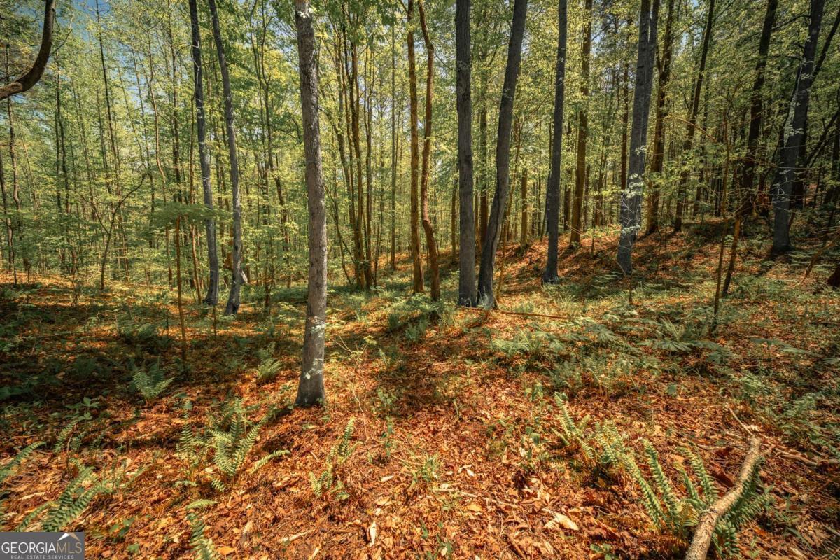 0 Hancock Mountain Trail Waleska GA 30183