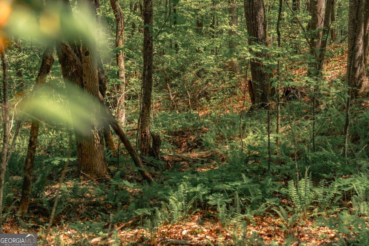 0 Hancock Mountain Trail Waleska GA 30183