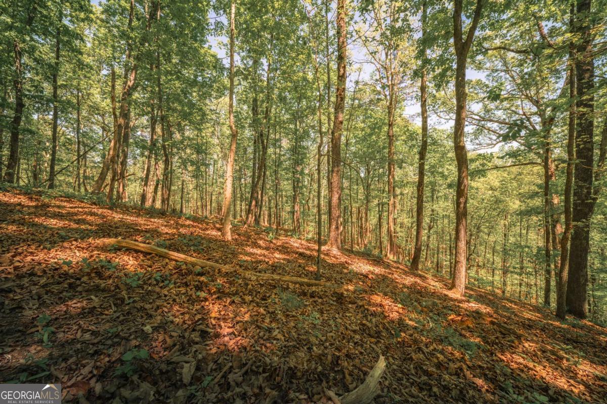 0 Hancock Mountain Trail Waleska GA 30183