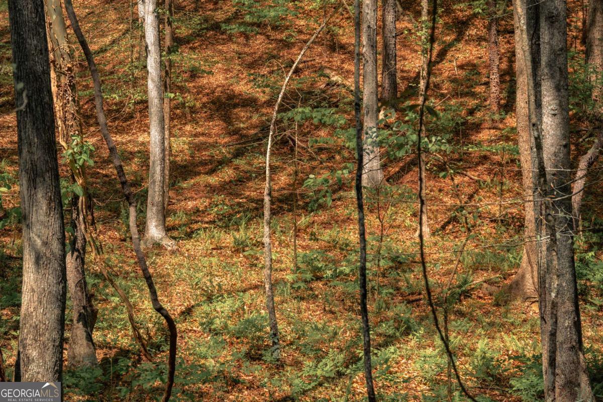 0 Hancock Mountain Trail Waleska GA 30183