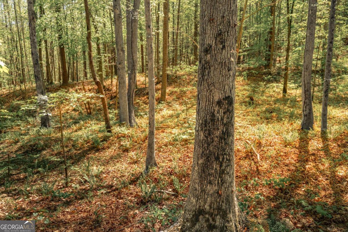 0 Hancock Mountain Trail Waleska GA 30183