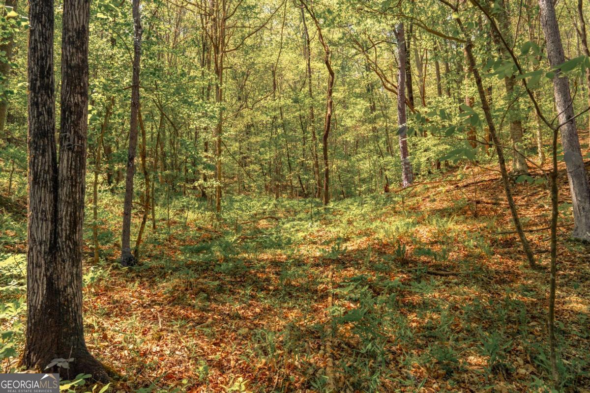 0 Hancock Mountain Trail Waleska GA 30183