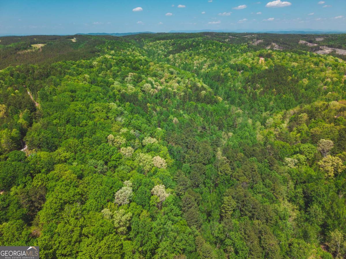 0 Hancock Mountain Trail Waleska GA 30183