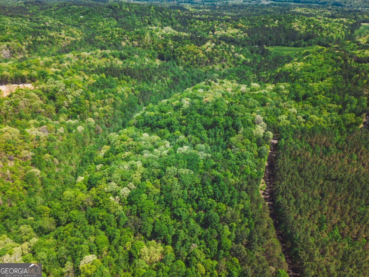 0 Hancock Mountain Trail Waleska GA 30183