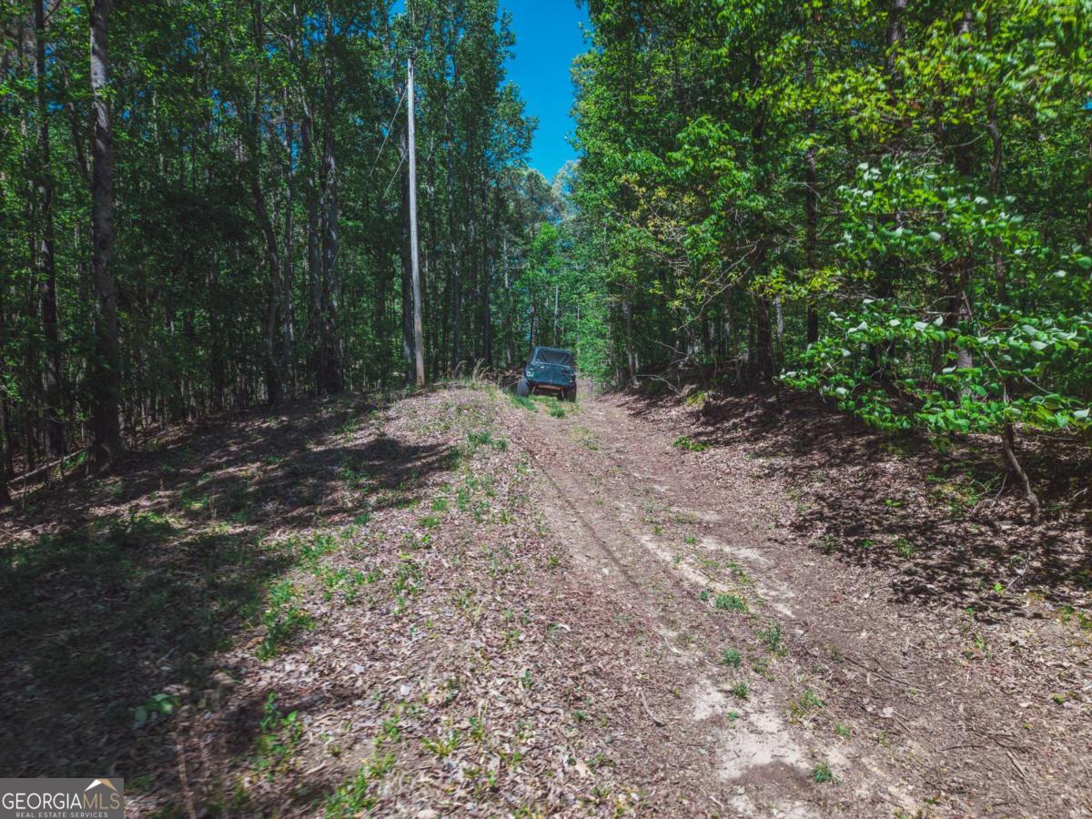 0 Hancock Mountain Trail Waleska GA 30183