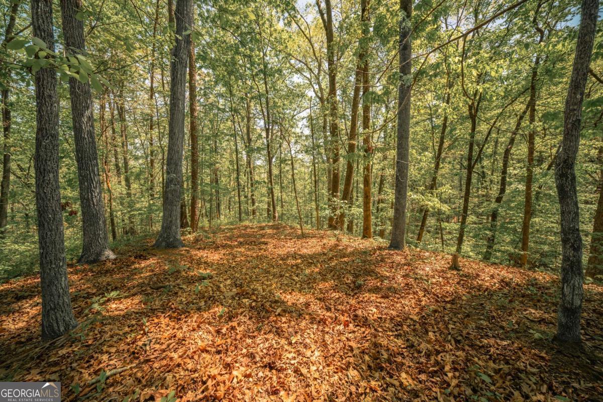 0 Hancock Mountain Trail Waleska GA 30183